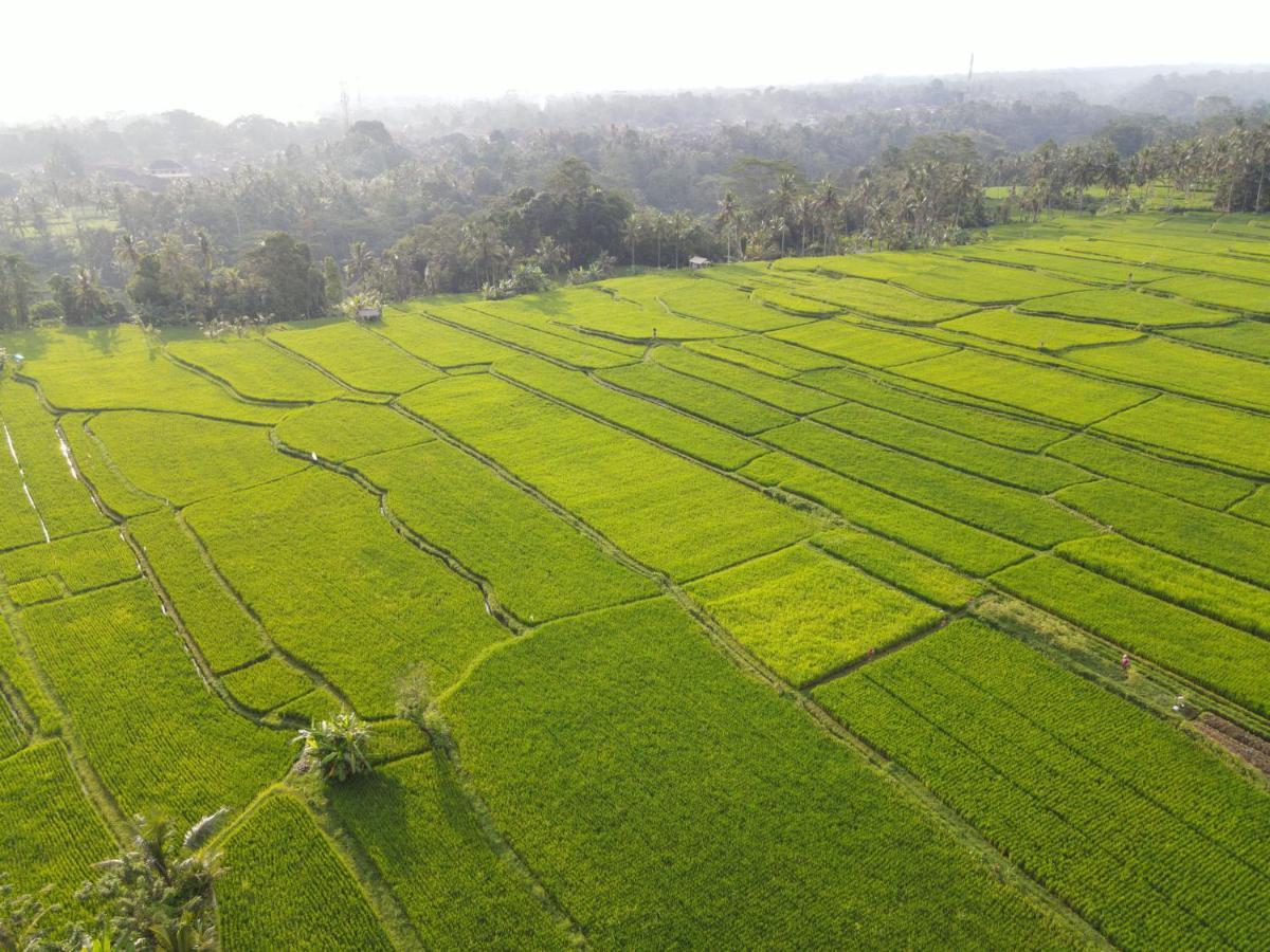 The Sun Of Granary Resort And Villas Ubud Exteriör bild