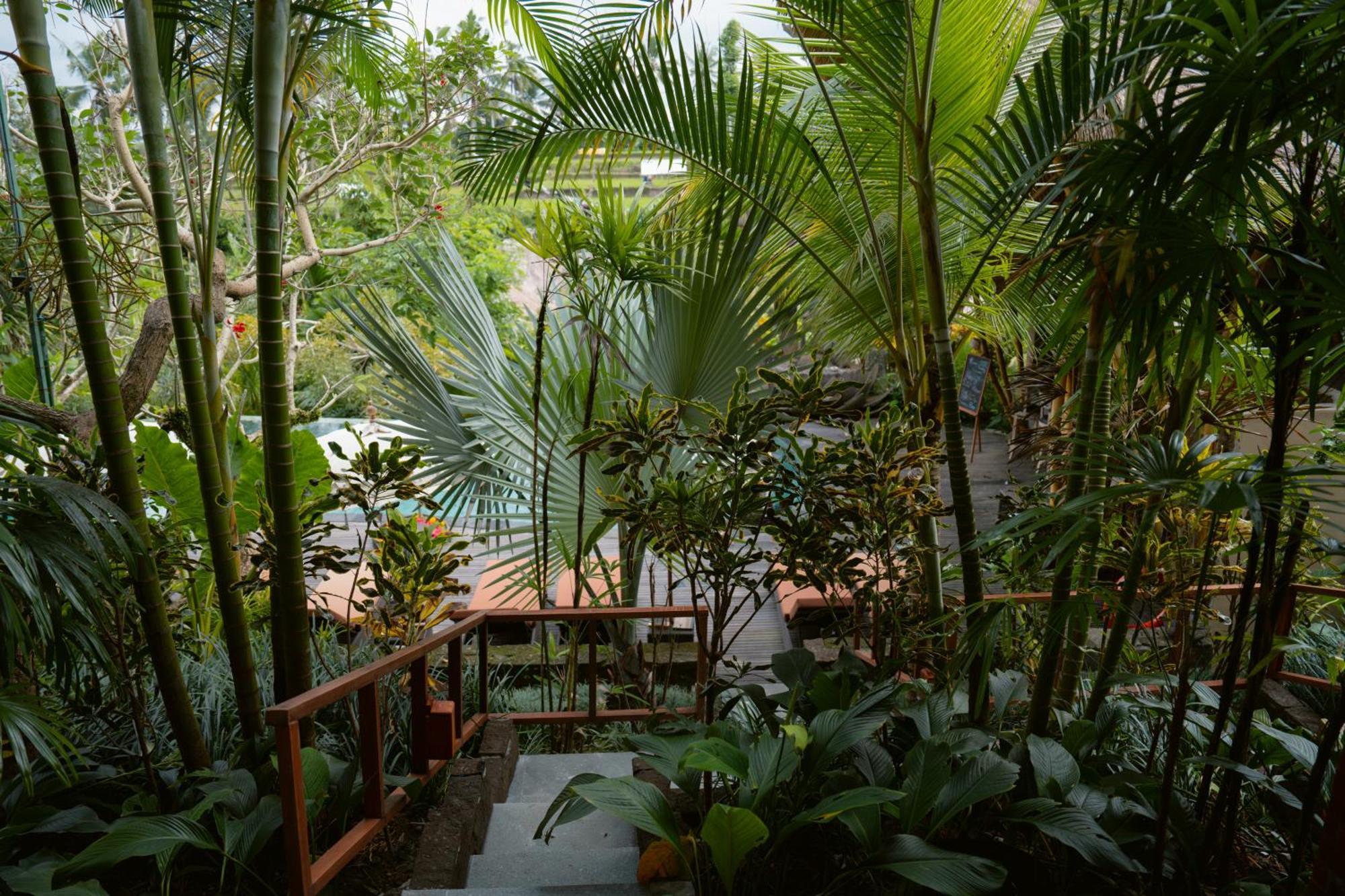 The Sun Of Granary Resort And Villas Ubud Exteriör bild